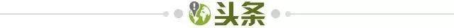 3b3f03e9-75b7-44de-9ffd-474ceec2fdb6.jpg@!img01